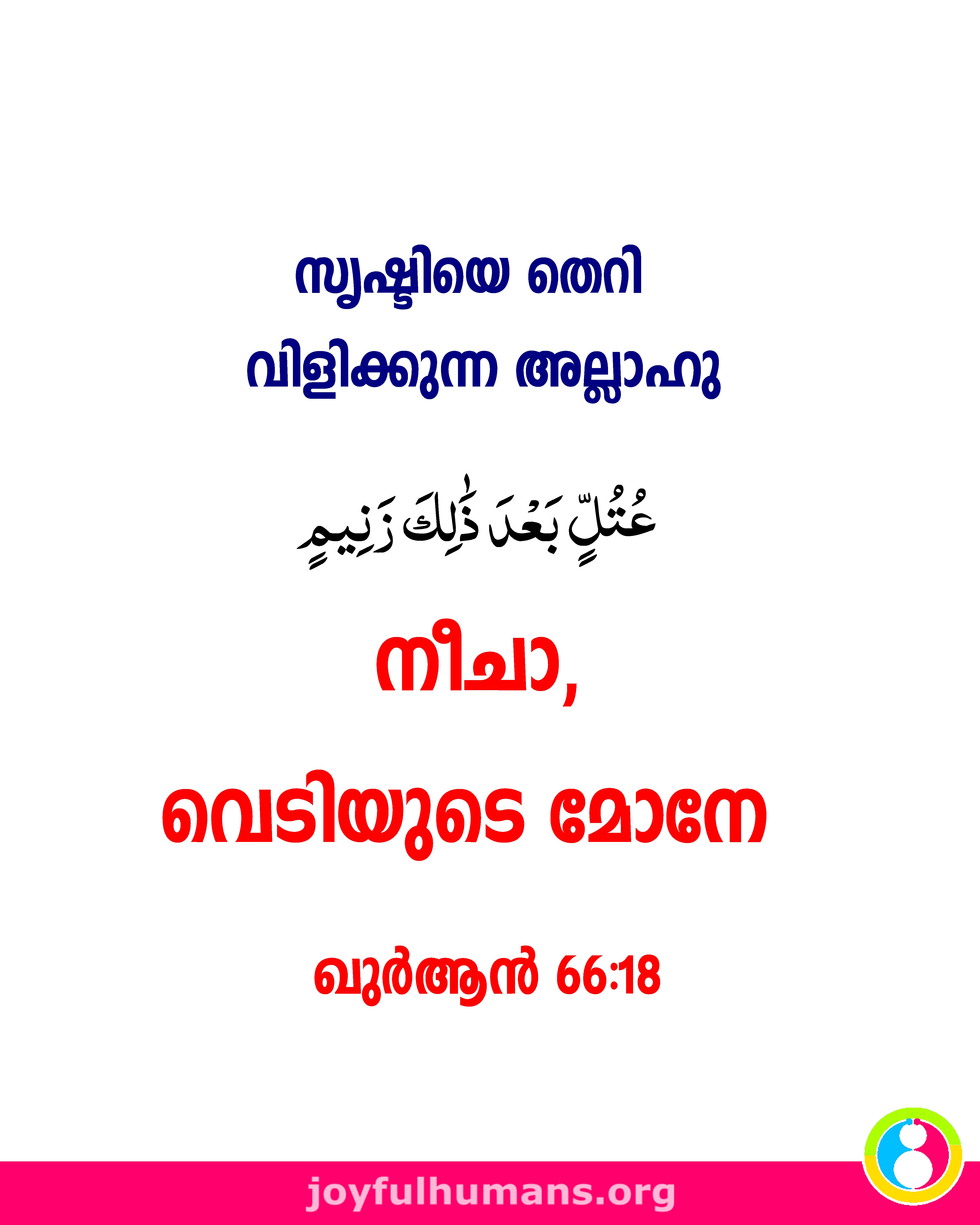 തെറിവിളിയനായ അല്ലാഹു